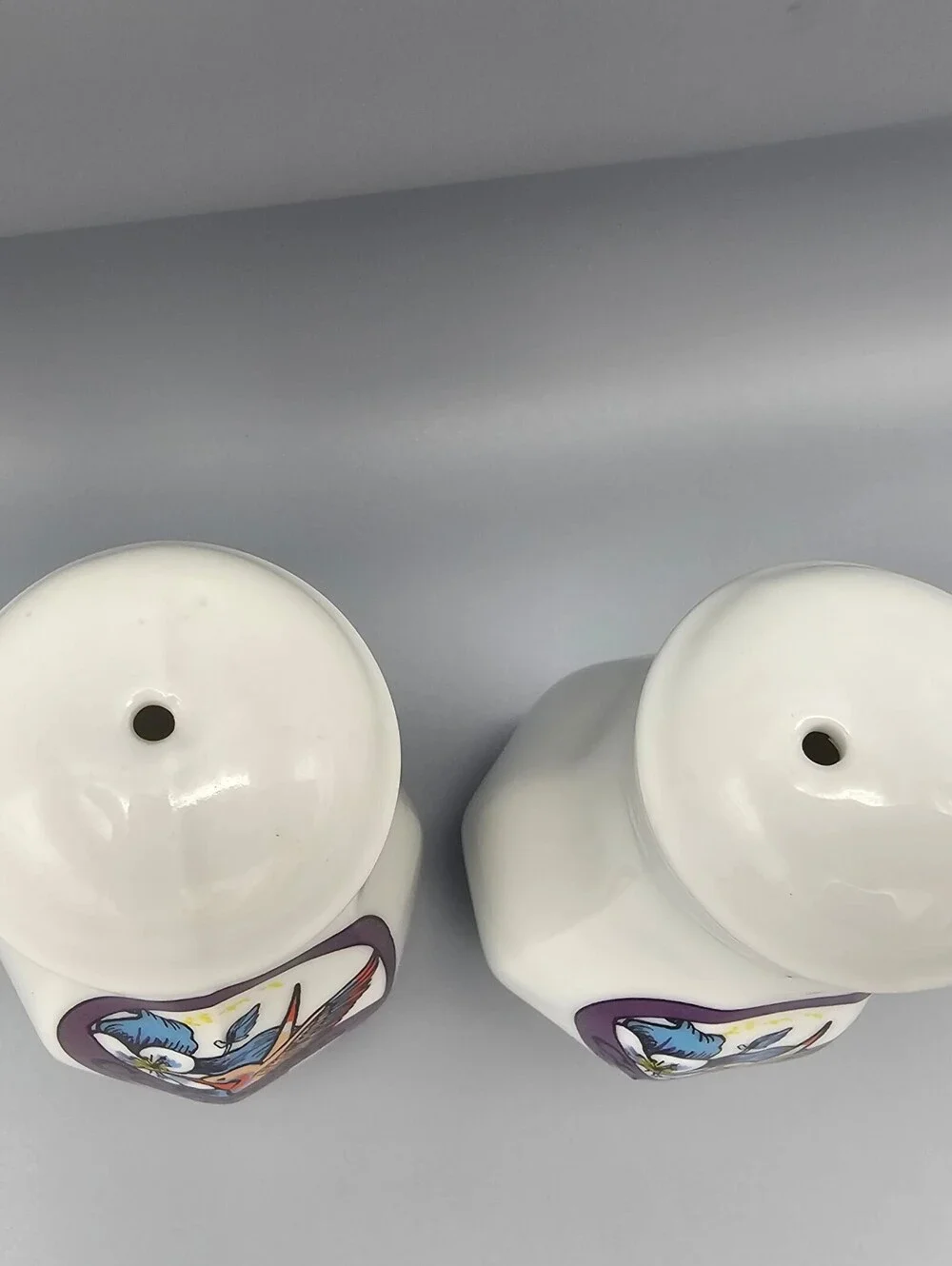 Ceramic Colorado Souvenir Salt and Pepper Shakers